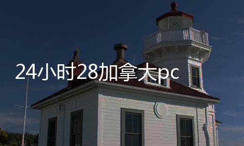 24小时28加拿大pc预测准确率100%网站回服务靠谱指南，轻松变现，安全无忧
